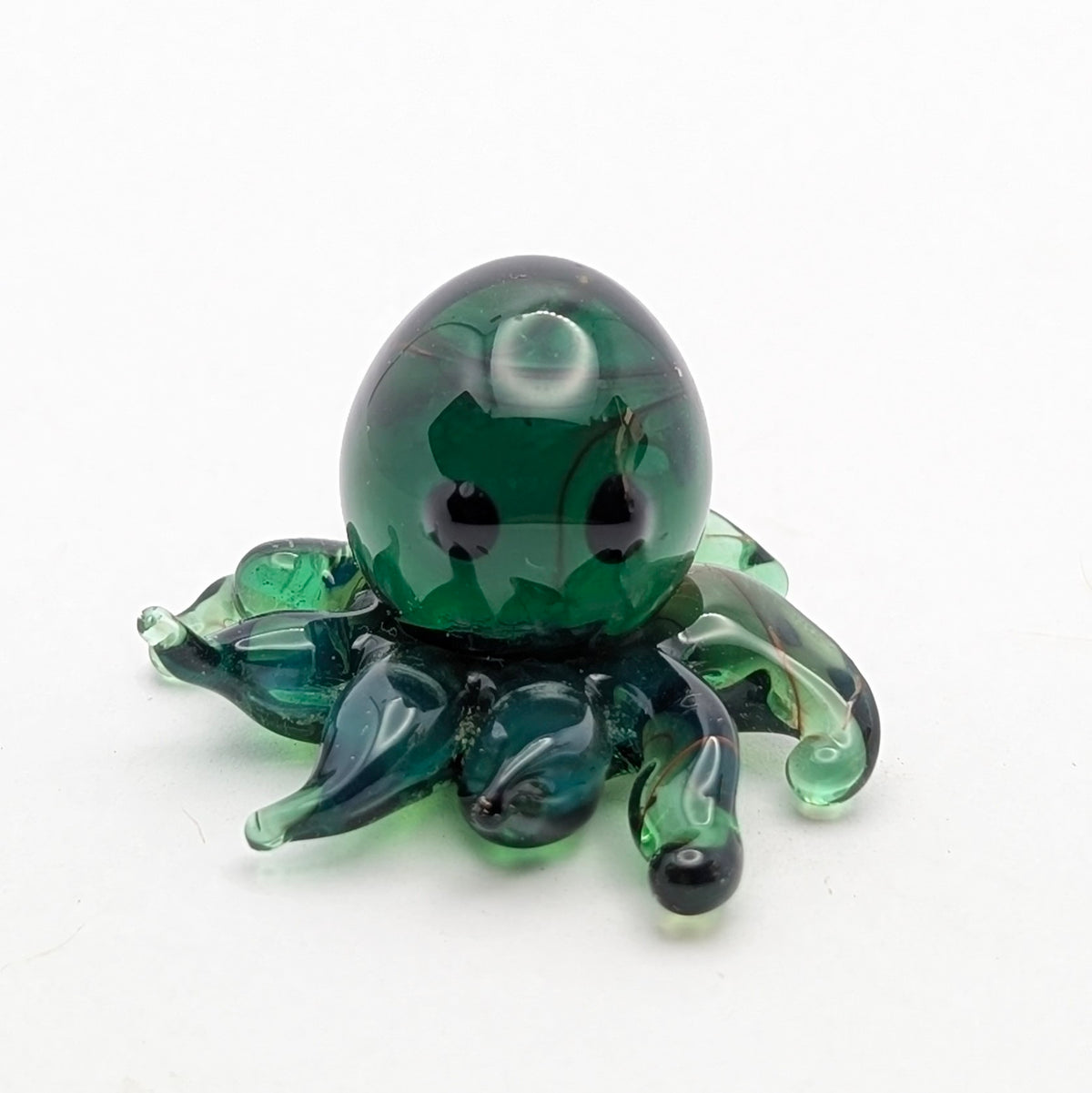 Baby Octopus