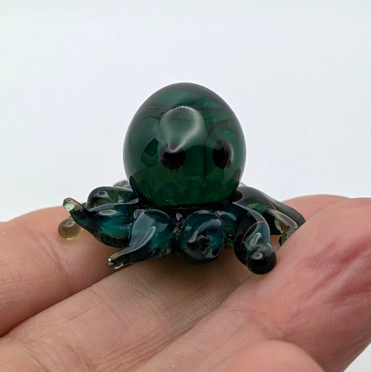 Baby Octopus